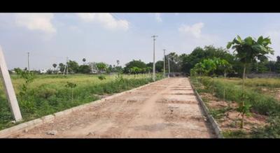 Residential Plot