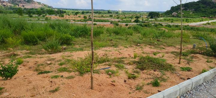 Choutuppal Main Image 1