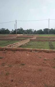 Residential Plot