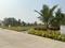 Target Tirumala Padmawati Main Image 1