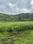 Tungarli Main Image 1