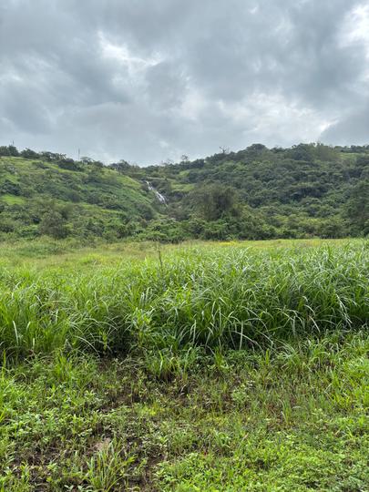 Tungarli Main Image 1