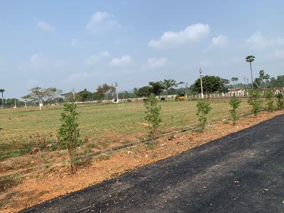 Desapathrunipalem Plot View 1