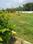 MUKTHA PLOTS Main Image 1