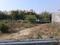Sector 151 Plot View 1