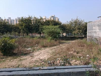 Sector 151 Plot View 1
