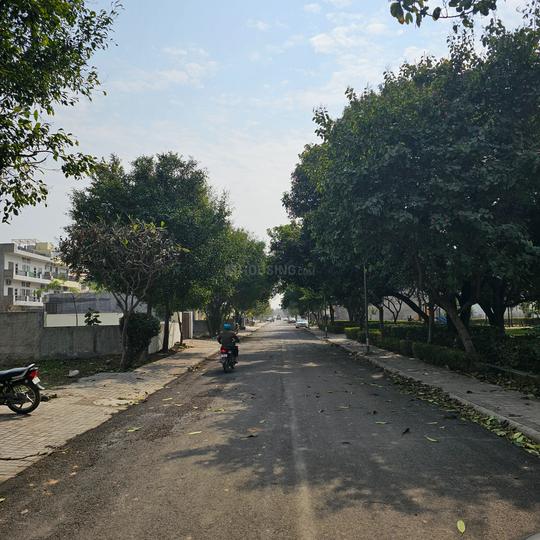 DLF Hyde Park Main Image 1