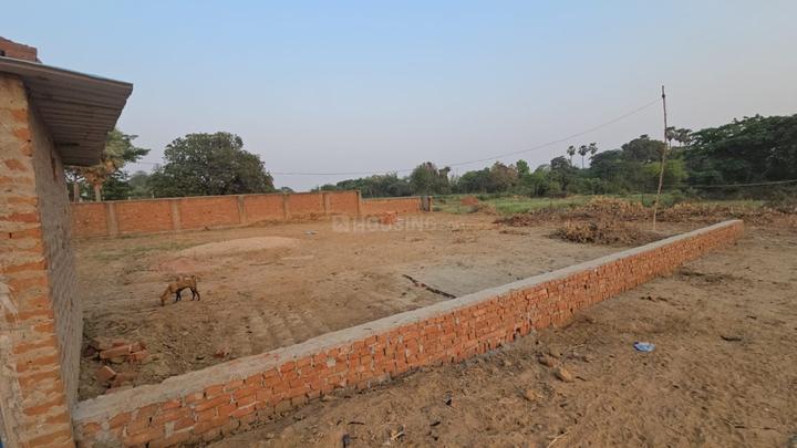 Bihta Main Image 1