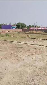 Image of 1050 Sq.ft Residential Plot / Land for sale in Ghurpur, Allahabad for Rs. 1350000