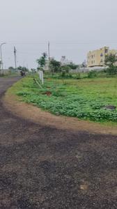 Dabha Plot View 1