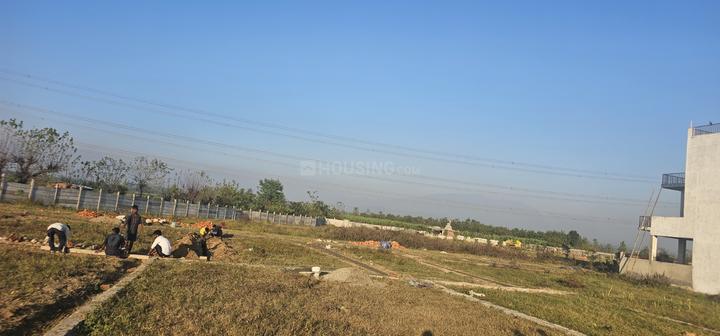 Selakui Main Image 1