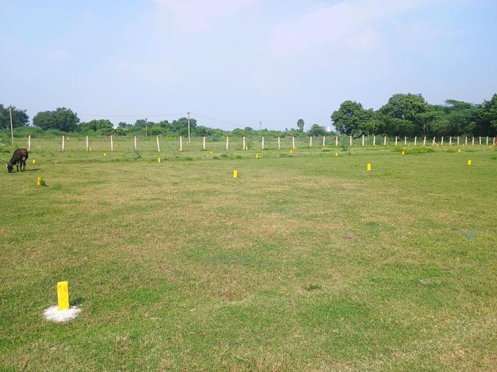 Alapakkam, Chengalpattu Main Image 1