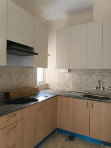 Kitchen Image of 750 Sq.ft 2 BHK Apartment / Flat for sale in Amrapali Dream Valley 2, Noida Extension Greater Noida for Rs. 6245000