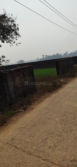 Naubatpur Main Image 1