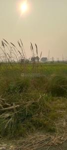 Yeida Plot View 1