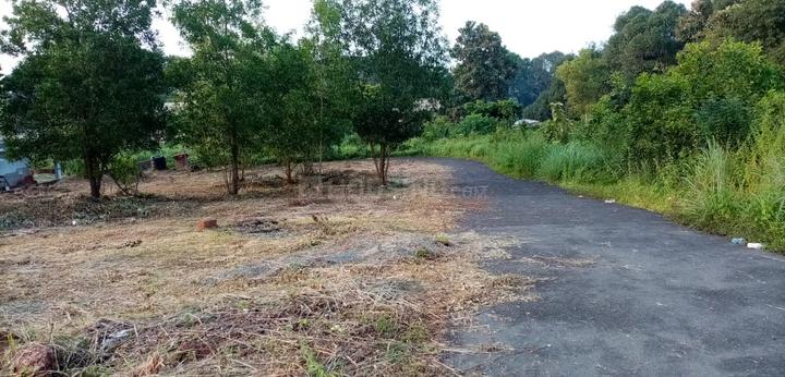 Taliparamba Main Image 1