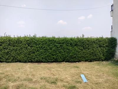 Mansha Oaks Plot View 2