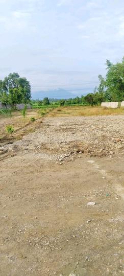 Dharnawala Main Image 1