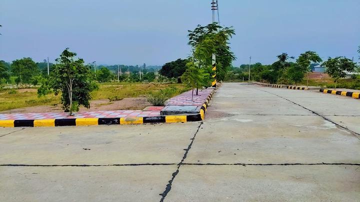 Indo Orr East Organica Main Image 1