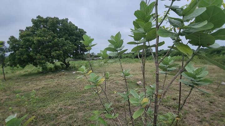 Agree cultural Land For Sale Main Image 1