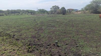 Image of 5100 Sq.ft Residential Plot / Land for sale in Nenmeli, Chennai for Rs. 14790000