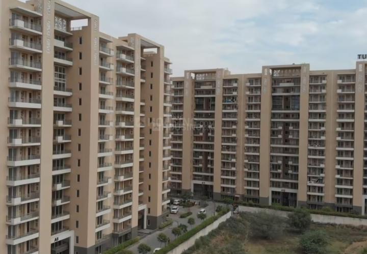 Tulip Violet Main Image 1