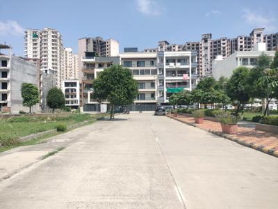 Phase 1 Main Image 1