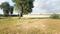 Barsana Main Image 1