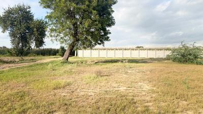 Image of 900 Sq.ft Residential Plot / Land for sale in Barsana, Mathura for Rs. 1000000