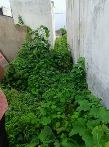 Image of 420 Sq.ft Residential Plot / Land for sale in Panchderiya, Indore for Rs. 1000000