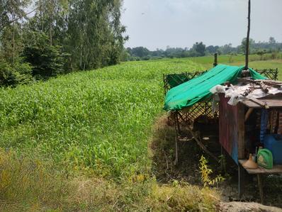 Image of 91800 Sq.ft Residential Plot / Land for sale in Sultanpur Road, Lucknow for Rs. 45000000