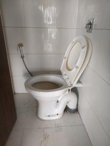 Common Bathroom Image of 698 Sq.ft 1 BHK Apartment / Flat for sale in Gemini Grand Bay, Manjari Budruk Pune for Rs. 4500000