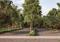 Devanahalli Main Image 1