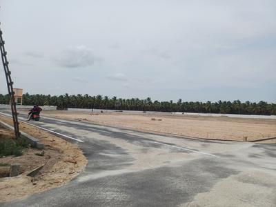 Residential Plot
