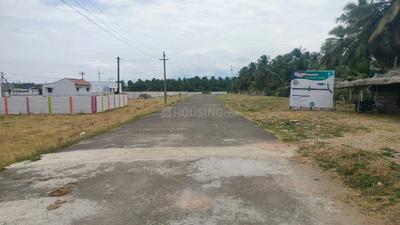 Image of 435 Sq.ft Residential Plot / Land for sale in Z.Kottampatti, Pollachi for Rs. 525000
