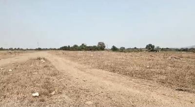 Sarde Plot View 1