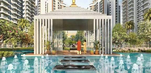 ACE Divino Main Image 1