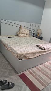 1 BHK Apartment