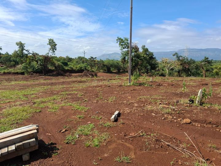 Reverine Main Image 1