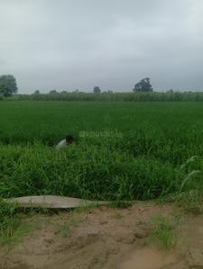 Image of 7163 Sq.ft Residential Plot / Land for sale in kairana, Shamli for Rs. 12000000