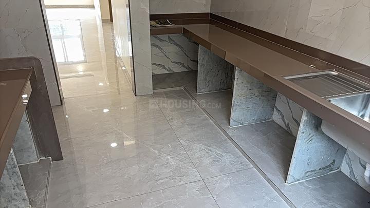 Marigold Exotic Main Image 1