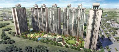 3.5 BHK Flat