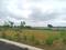 Pashambanda Plot View 2