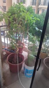 Balcony Image of 850 Sq.ft 2.5 BHK Apartment / Flat for sale in Signature Global The Millennia 3, Sector 37D Gurgaon for Rs. 9000000