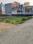 Paharia Main Image 1