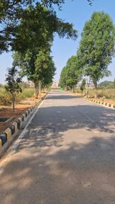 Residential Plot