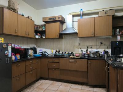 Kitchen Image of 1500 Sq.ft 3 BHK Apartment / Flat for sale in Sobha Hibiscus, Bellandur Bengaluru for Rs. 30000000