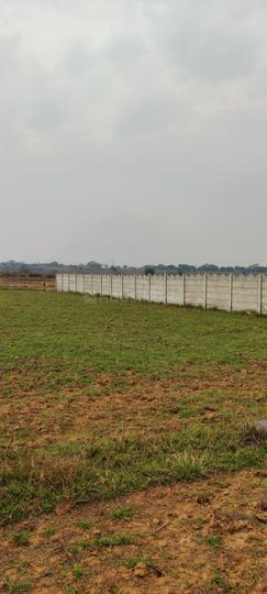 79 acres  Main Image 1