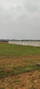 79 acres  Plot View 1