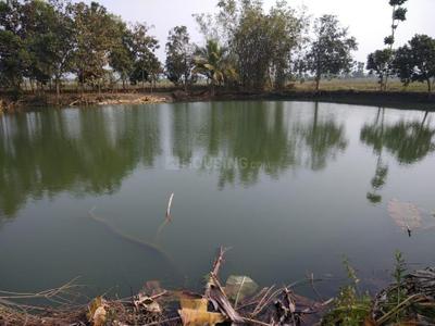 Joy Jawan Housing Plot View 2